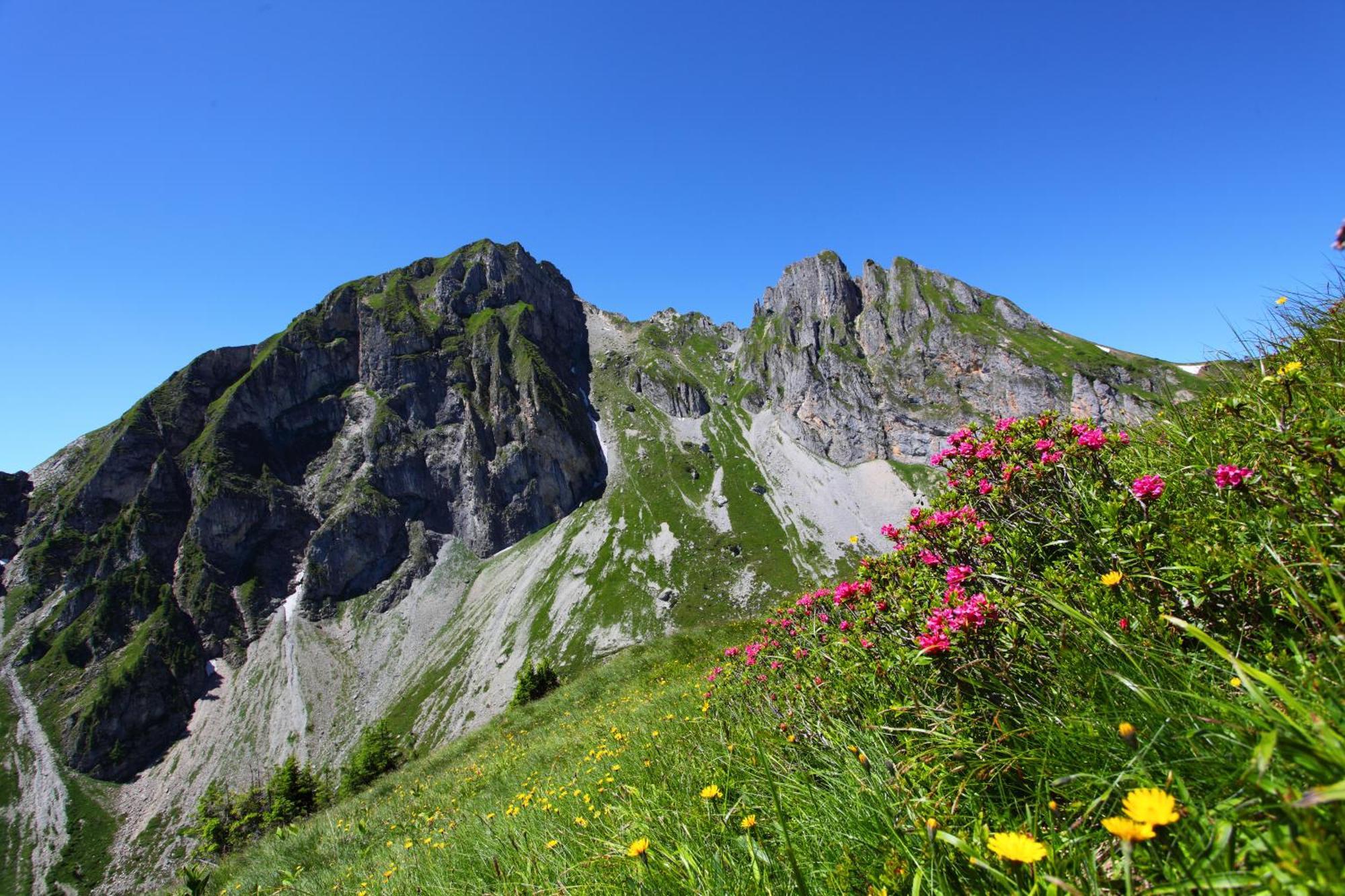 Ferienparadies Taxen Sankt Veit im Pongau Luaran gambar